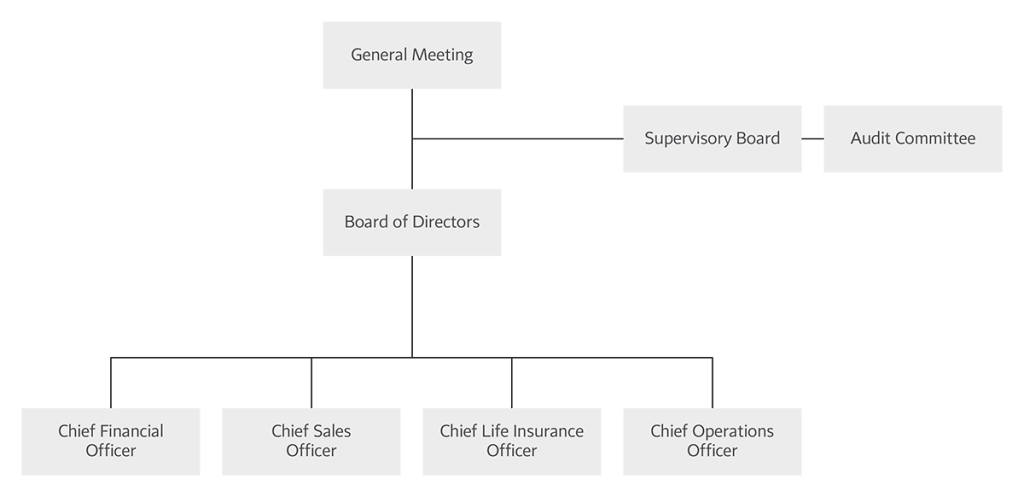 Basic Organisation Chart of Česká pojišťovna
